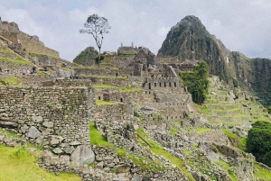 VALLE SAGRADO VIP- MACHUPICCHU FORBINDELSE 2D/1N