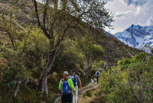 From Cusco: 4-Day Salkantay Trek with Meals & Equipment