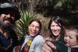 San Pedro Wachuma Ceremony in Cusco - Espiritual Tour