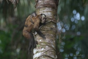 Puerto Maldonado: Lago Sandoval: tour guiado de 4 dias e 3 noites