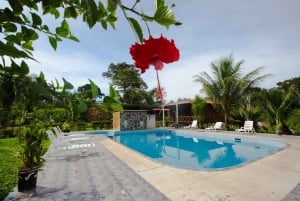 Sandoval Lake & Parrot Clay lick 3 Days/2 Nights