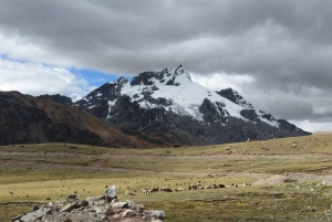 Santa Rosa: Kunurana Viewpoint Hike with Lunch