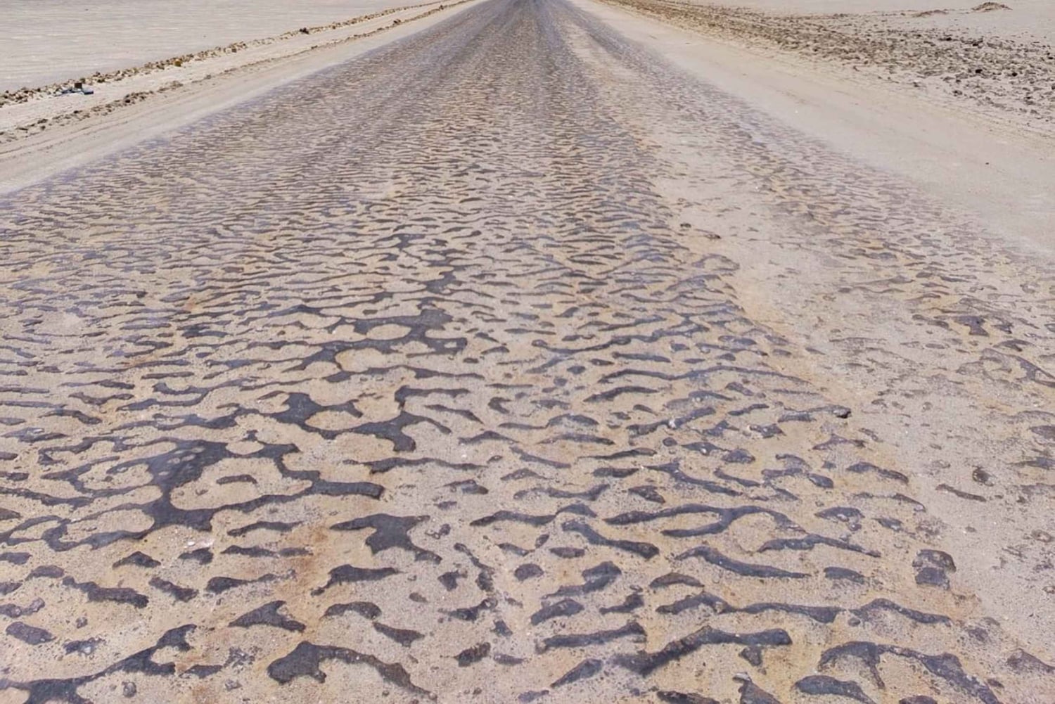 パラカス国立公園へのスクーター