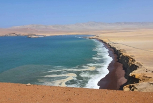 Scooter naar Paracas Nationaal Park