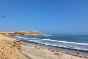 Scooter naar Paracas Nationaal Park