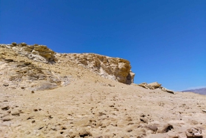 Scooter naar Paracas Nationaal Park