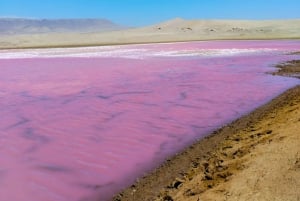 Scooter naar Paracas Nationaal Park