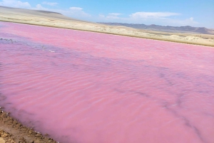 Scooter naar Paracas Nationaal Park