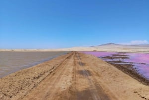 Scooter naar Paracas Nationaal Park