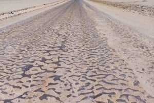 パラカス国立公園へのスクーター