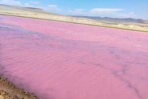 パラカス国立公園へのスクーター
