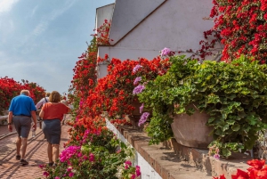 Larco Museum Lima Privat tur och biljetter som låter dig hoppa över kön