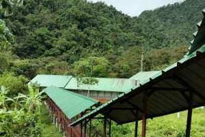 Соктапата: 3 дня «все включено», впечатления и тур по Амазонке