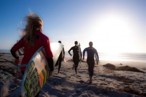 Aula de surfe: domine a onda perfeita -> iniciantes e avançados