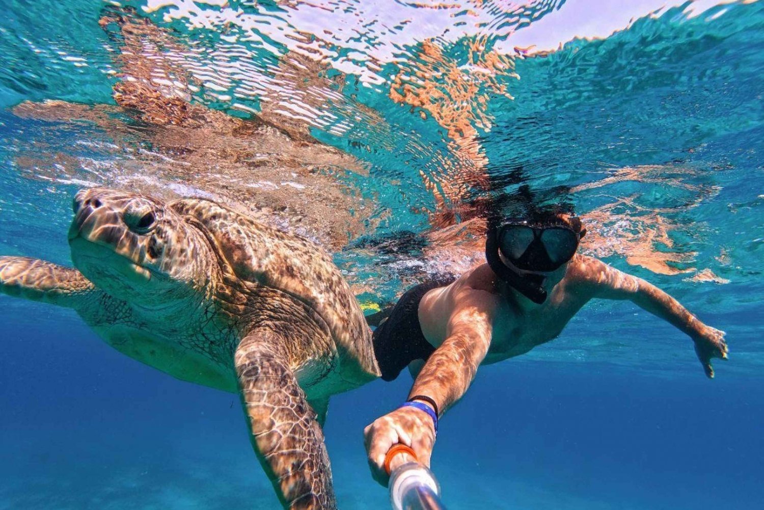 Nadar con tortugas - Experiencia espectacular en Máncora