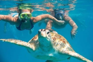 Swim with Turtles - Mancora spectacular Experience