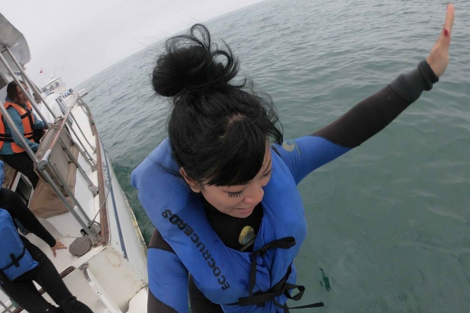 Svømning med søløver i Lima