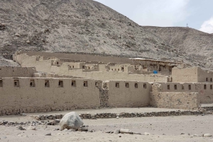 Tambo Colorado z TERMINALU STATKÓW WYCIECZKOWYCH PISCO