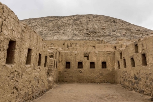 タンボ・コロラドからピスコ・クルーズ船ターミナルまで