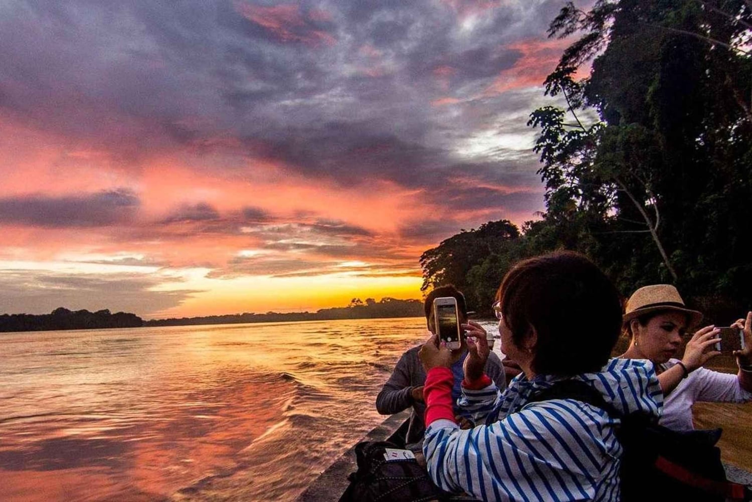 Tambopata: passeio de 2 dias pela vida selvagem com estadia num alojamento na selva