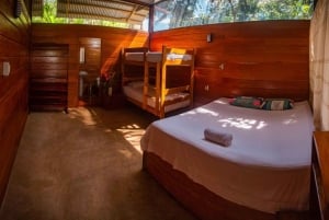 Tambopata: passeio de 2 dias pela vida selvagem com estadia num alojamento na selva