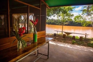 Tambopata: passeio de 2 dias pela vida selvagem com estadia num alojamento na selva