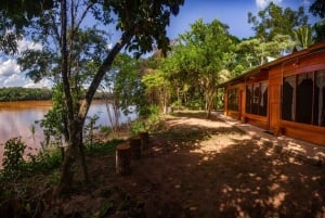 Tambopata: passeio de 2 dias pela vida selvagem com estadia num alojamento na selva