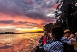 Tambopata: passeio de 2 dias pela vida selvagem com estadia num alojamento na selva
