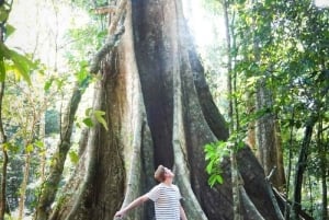 Tambopata: passeio de 2 dias pela vida selvagem com estadia num alojamento na selva