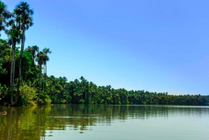 Tambopata: Multi-Day Amazon Rainforest Tour with Local Guide