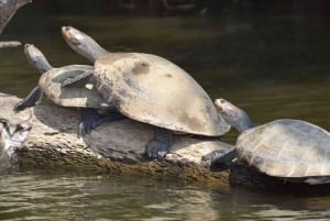 TAMBOPATA AMAZONE WILD 3D/2N