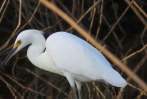 TAMBOPATA AMAZONE WILD 3D/2N