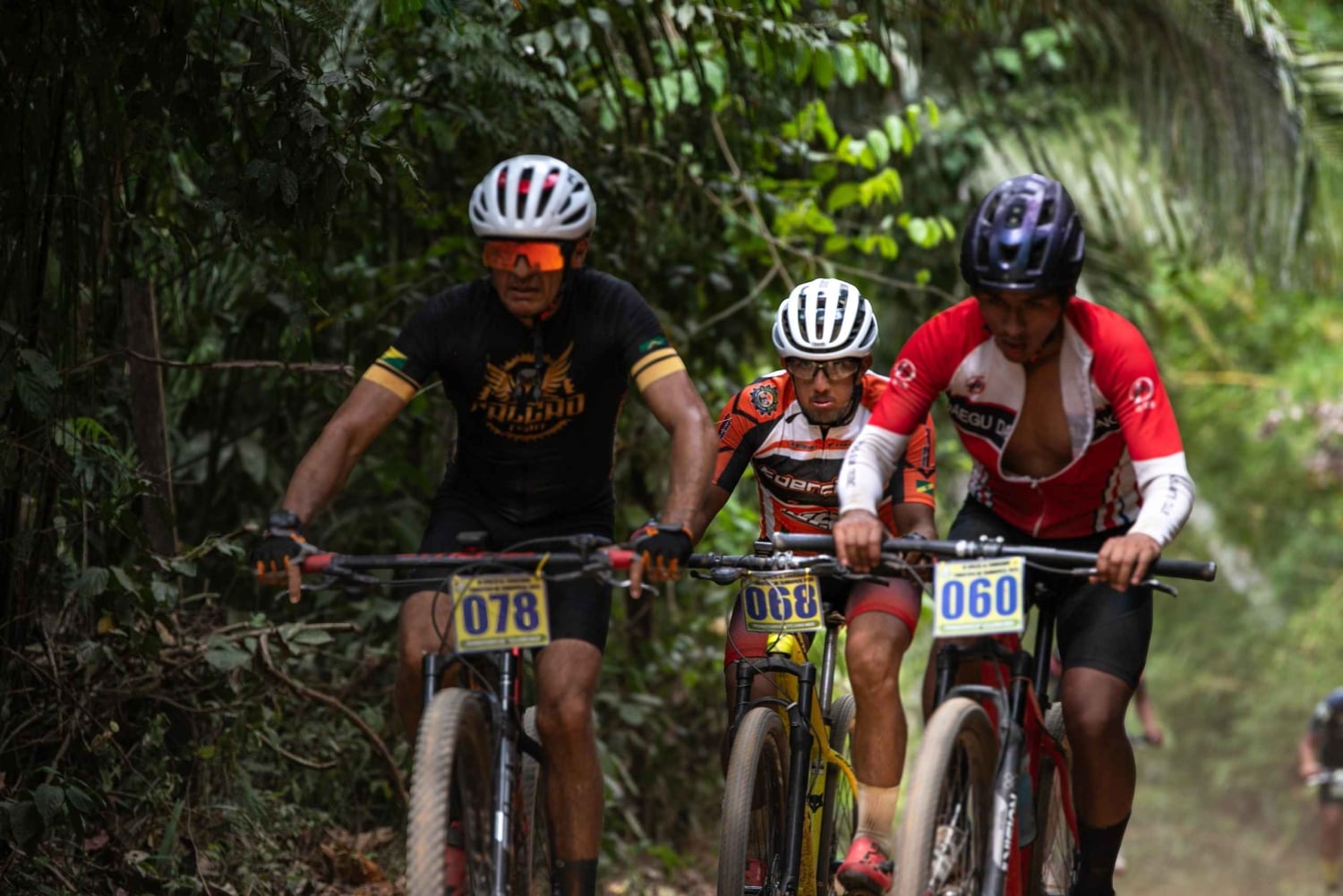 Tambopata by bike: between the trees and the river