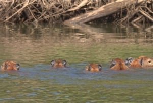 Tambopata by bike: between the trees and the river