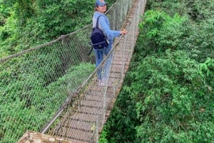 Från Puerto Maldonado: Inkaterra Rainforest Canopy Tour