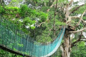 Från Puerto Maldonado: Inkaterra Rainforest Canopy Tour