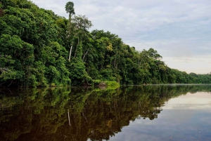 Tambopata: Lake Sandoval Canoeing with Lunch