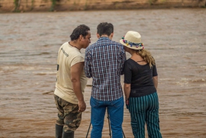 Tambopata Macaw Clay Lick 3 days/2 nights