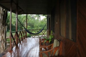 Tambopata: tour di più giorni nella foresta pluviale amazzonica con guida locale