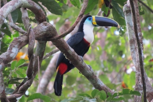 Best walking tours in Peru