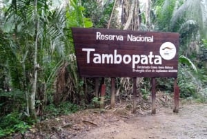 Jungle amazonienne péruvienne de Tambopata pour trois jours/deux nuits