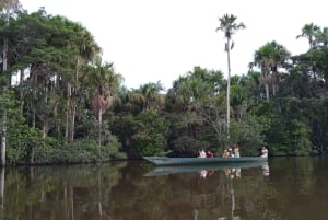 Jungle amazonienne péruvienne de Tambopata pour trois jours/deux nuits