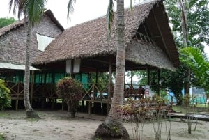 Jungle amazonienne péruvienne de Tambopata pour trois jours/deux nuits