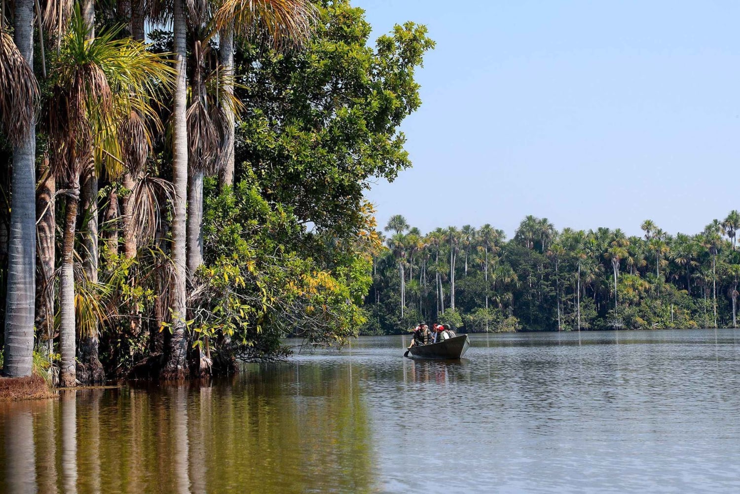 Фототур по реке Тамбопата с попугаями и ара