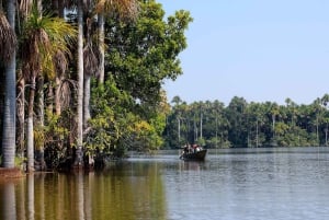 Tambopata-elven: Papegøye- og ara-fototur