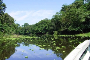 TAMBOPATA SAFARI ANIMALS 3D/2N