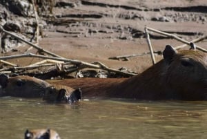 TAMBOPATA SUNSET TOUR 3D/2N