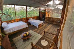 Tambopata Tour 2 days/1 night Sandoval Lake: nature and boat rides