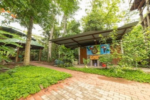 Tambopata Tour 2 days/1 night Sandoval Lake: nature and boat rides