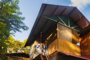 Tambopata Tour 2 days/1 night Sandoval Lake: nature and boat rides